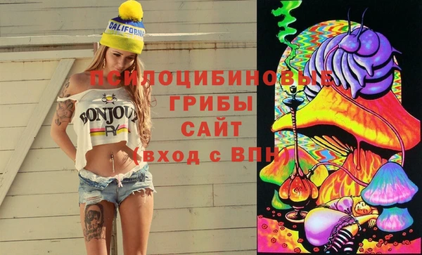 дурь Медвежьегорск