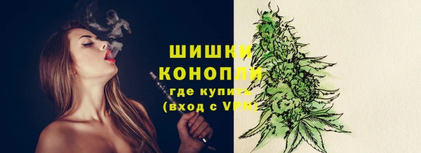 амф Мегион