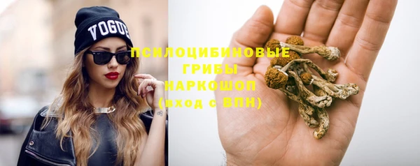 дурь Медвежьегорск