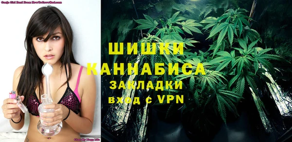 амф Мегион