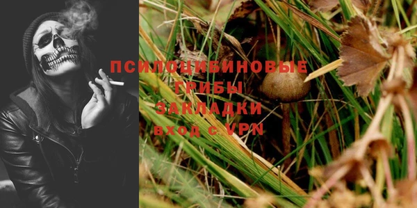 PSILOCYBIN Медногорск