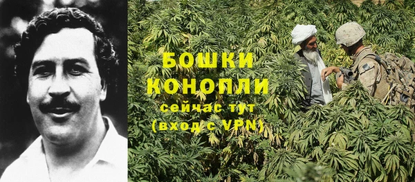 амф Мегион