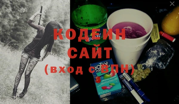 дурь Медвежьегорск